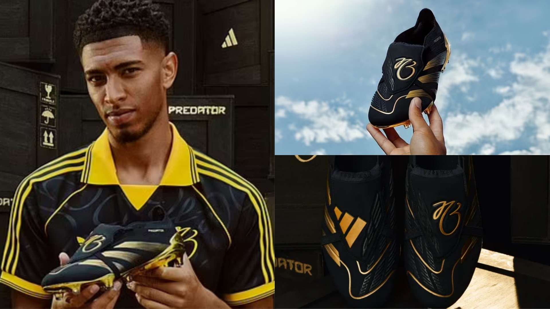 布斯克茨自 布斯克茨自